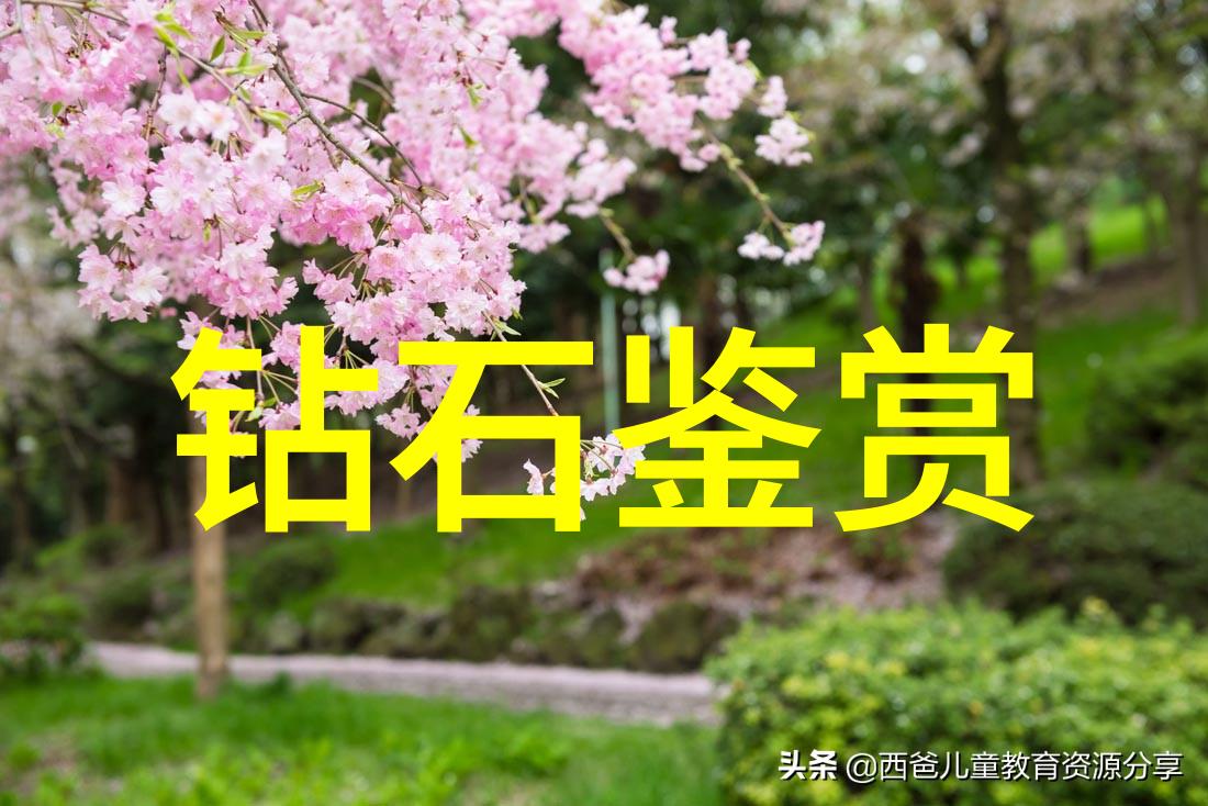 纵览中国传统文化古韵今彩