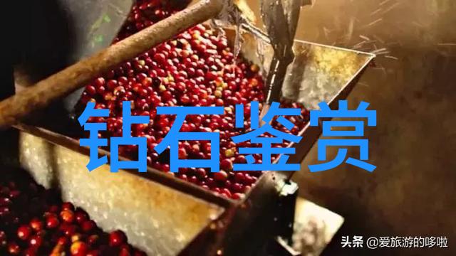 创意闪耀一般设计珠宝所需的书目