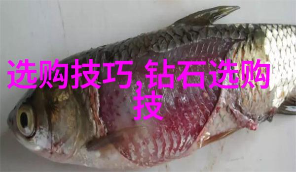 彩虹般的宝石探索孔雀石的魅力与价值