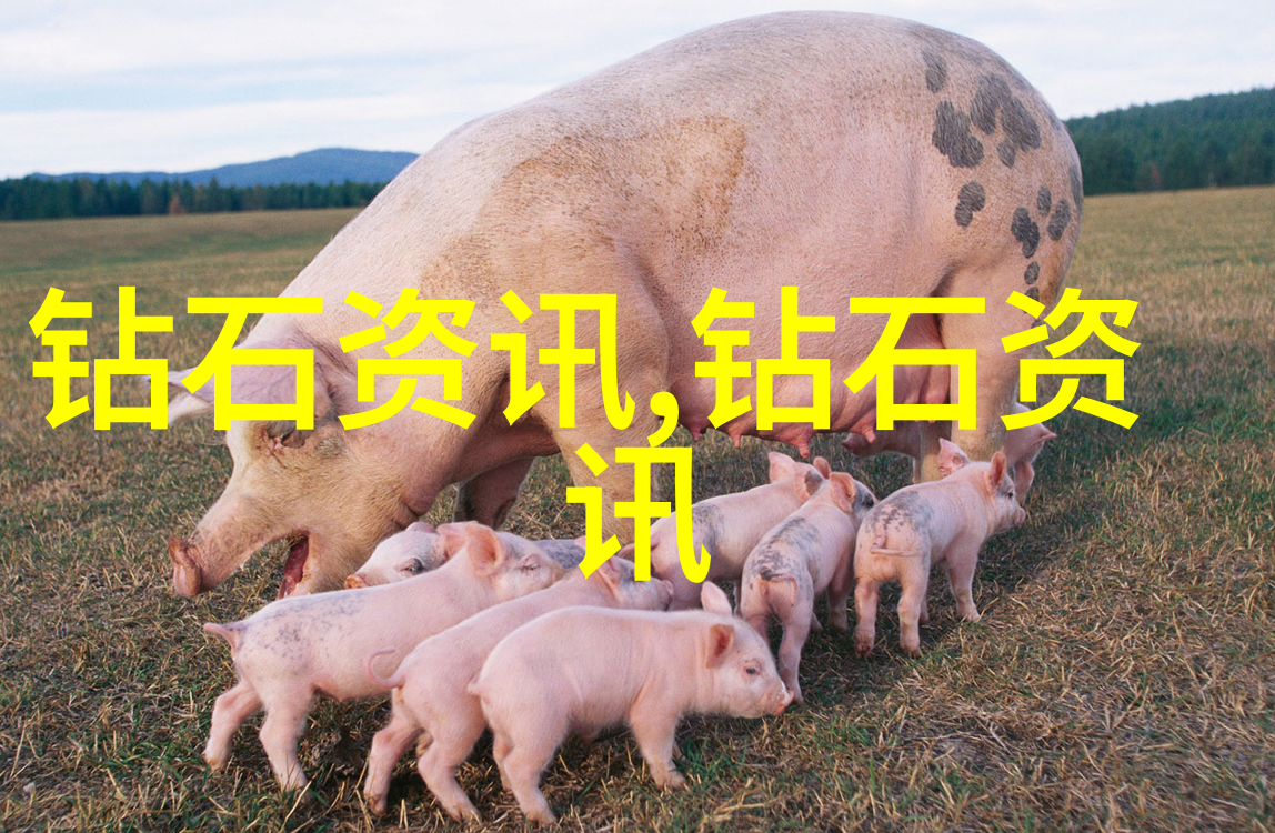 翡翠原石的秘密它真正的价值在哪里