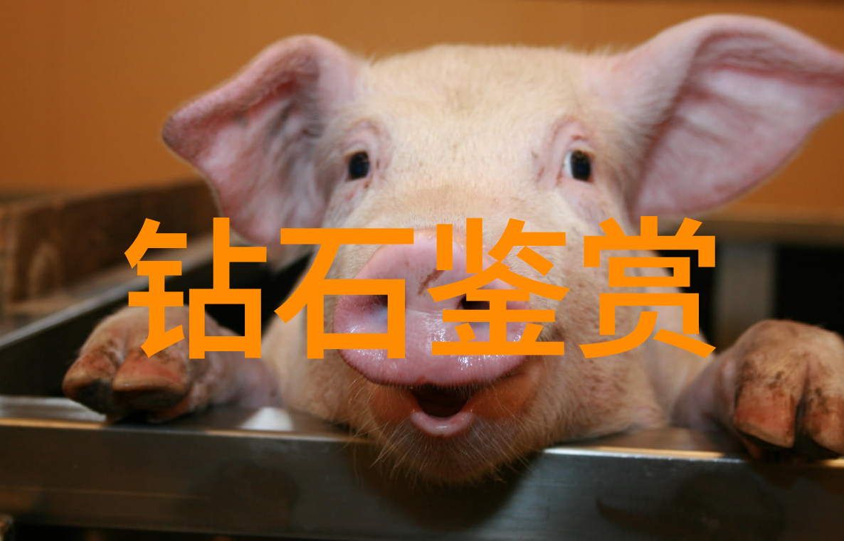 家具设计与制造从创意到实体的工艺探索