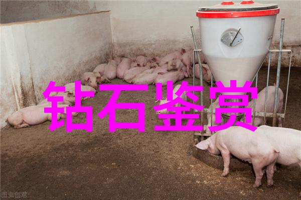 生产工艺分类概述从原料加工到终端产品的多样化流程