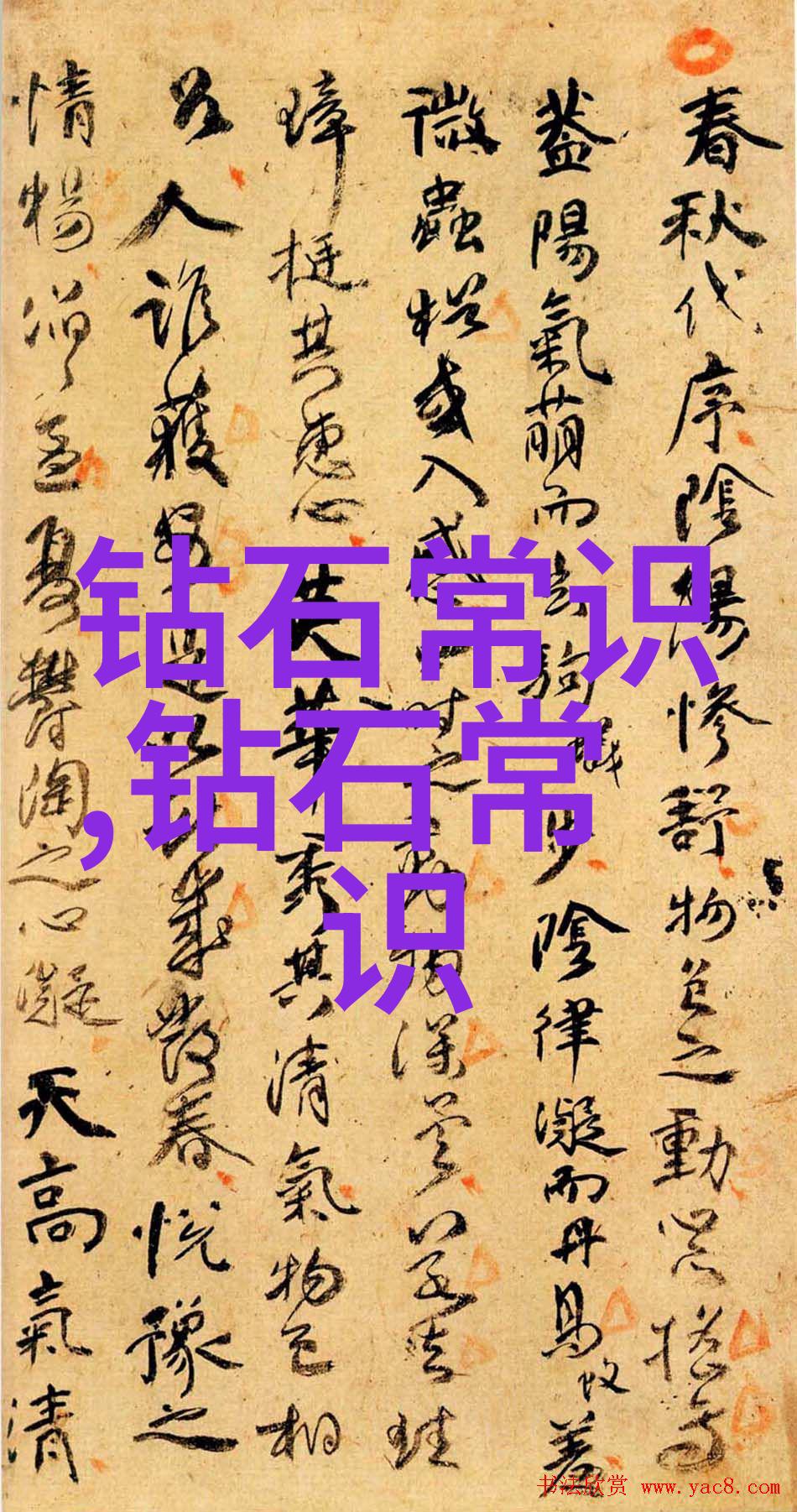 审计学专业剖析会计信息的真伪与价值评估