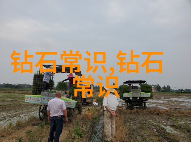 超越时空的爱恋故事