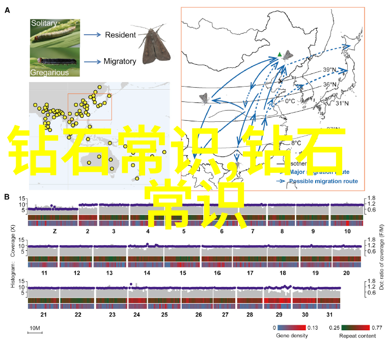 数字电视新纪元MYTV188.COO引领家居娱乐革命