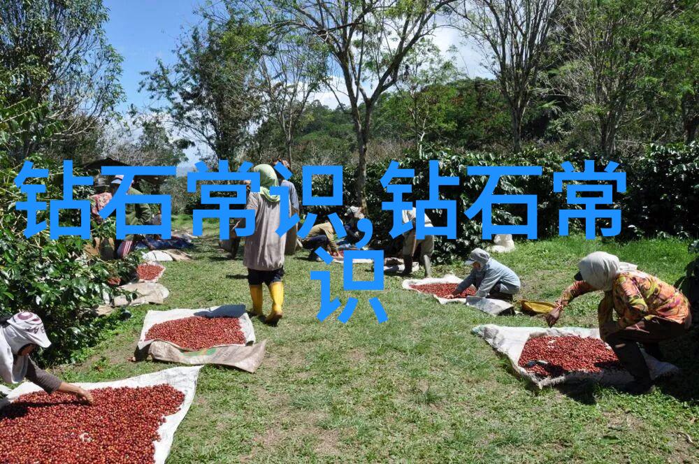中国珠宝玉石鉴定中心精确分辨古今宝藏的科学之眼
