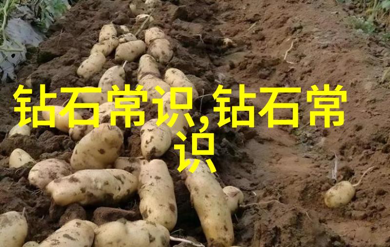 生物科技革命将如何改变我们对疾病的理解和治疗方式