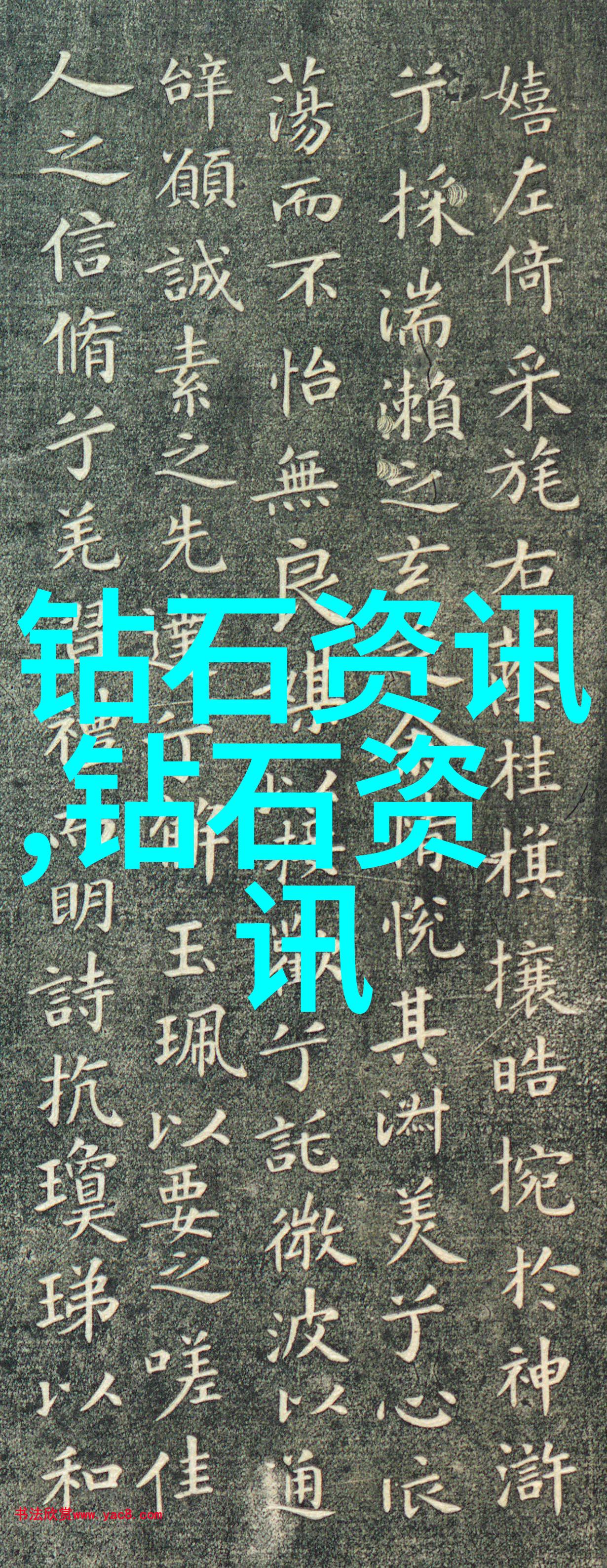 Tobu8美国14Tobu8在美国的第十四次音乐会