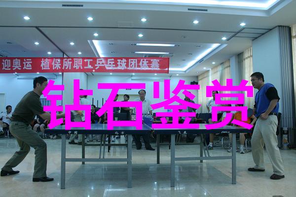 对比与协调家具设计的工程奇观
