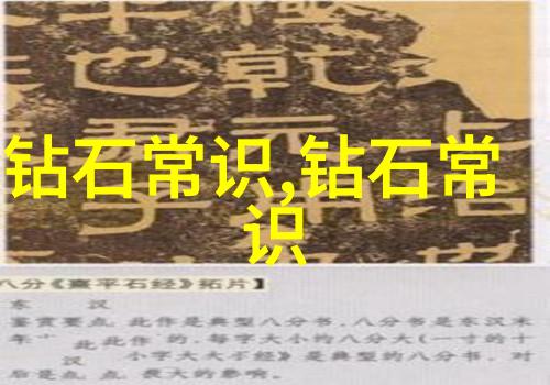 学什么专业好-选择未来如何明智地规划你的学术道路