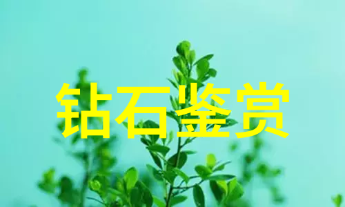 睡前故事老爸的星空下