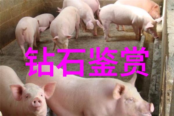 冷门而非平庸深度解析稀有的矿物宝藏