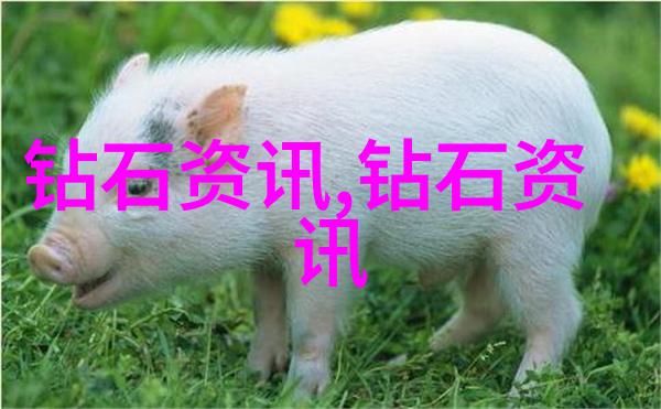 艺苑百态巧手绘卷