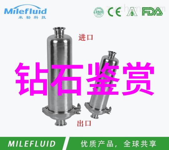 宫廷禁脔里的奇妙食物探秘皇家菜肴制作技艺