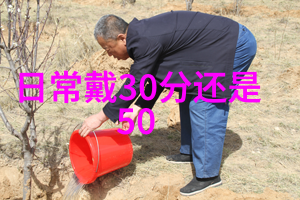 世界上最著名的钻石历史文化与价值考察