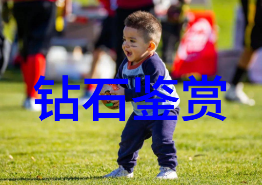 中国文化的内容及特点-龙脉中的韵律解读中国传统文化的深邃魅力