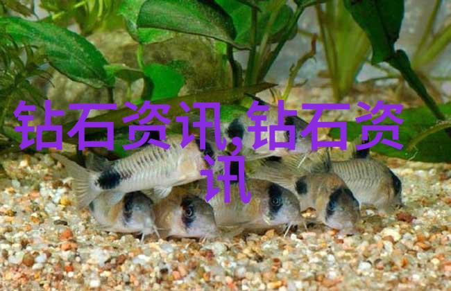 工厂代加工安全生产的最后一道防线