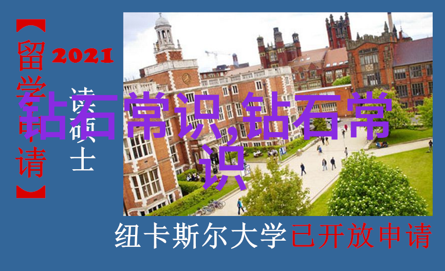 翡翠鉴定指南如何正确识别和评估天然翡翠的质量