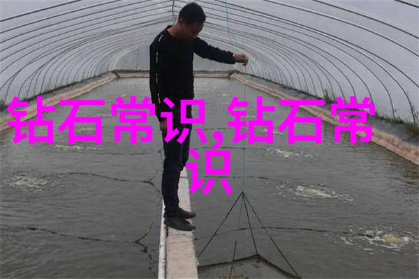 中国文化的绚烂篇章探索传统魅力之源