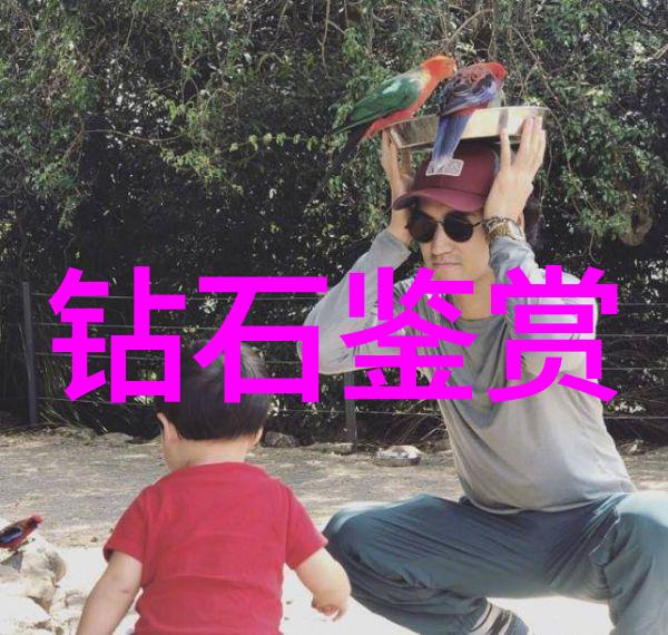 镜头前行曦光与影踪的对话