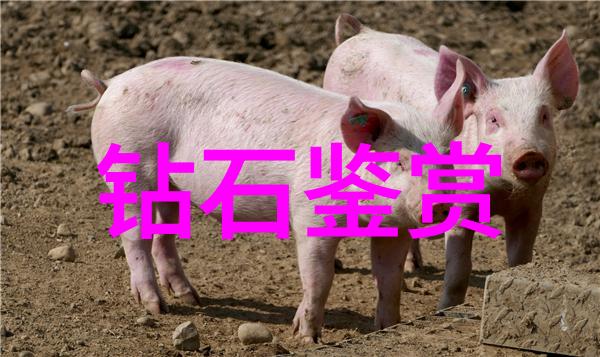 机加工精细工艺数控铣床车床刨床