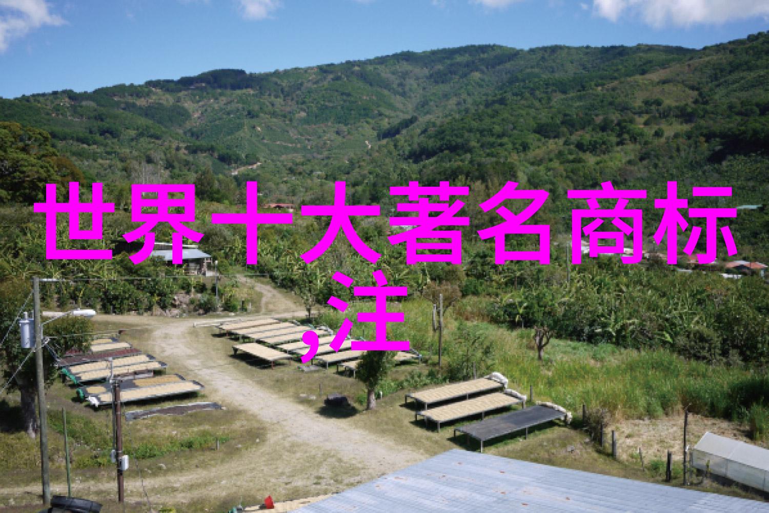 赚钱不难掌握这些基础手艺就够了