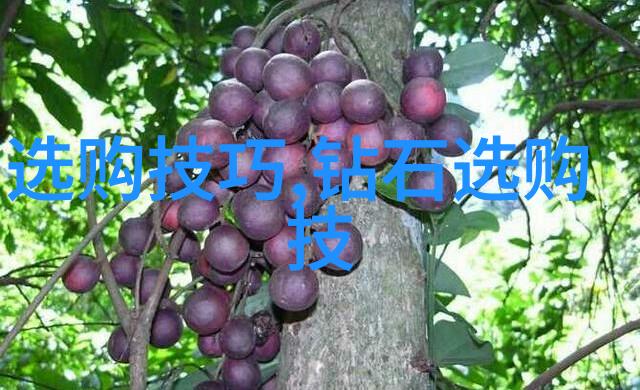 审计学专业我是如何成为一名精通审计的专家