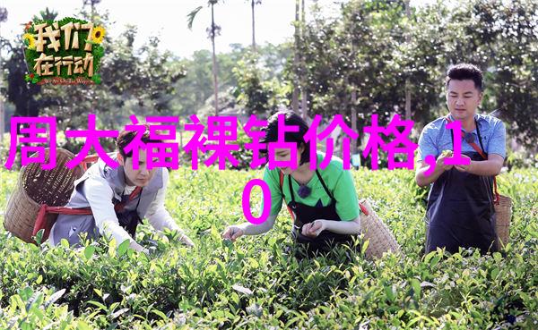 文化大革命的起伏从红八月到平静晨光
