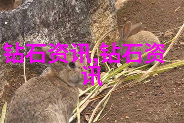 探索我看中国的文化是怎样的