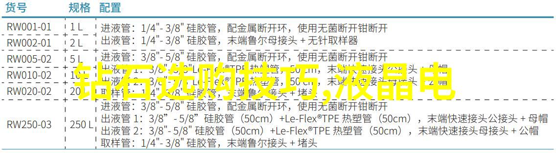 审计学专业深度探究高级会计审计技术与实践