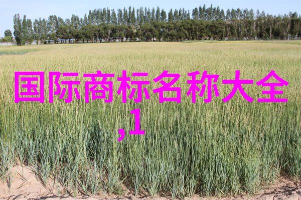 工艺的奥秘技术与创造力的交响phony