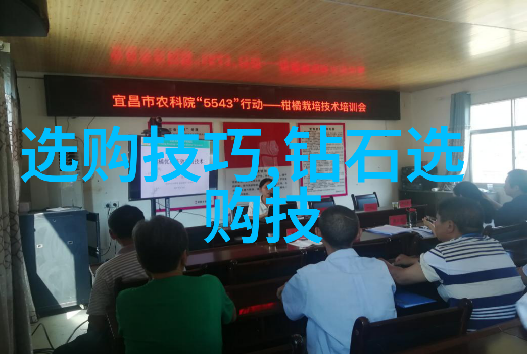 了解不同地区对密苏迪弗洛调料选择的差异