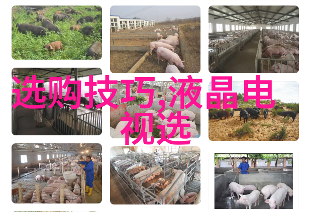 魔幻童年探索童话故事背后的文化深度