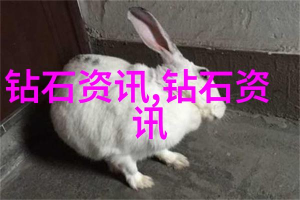 宝诗龙与五行阵战略与勇气的结合