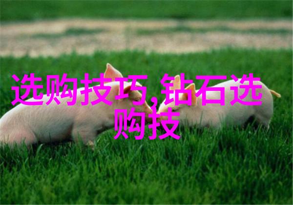 中华文化的光辉与影子探索传统之美与挑战