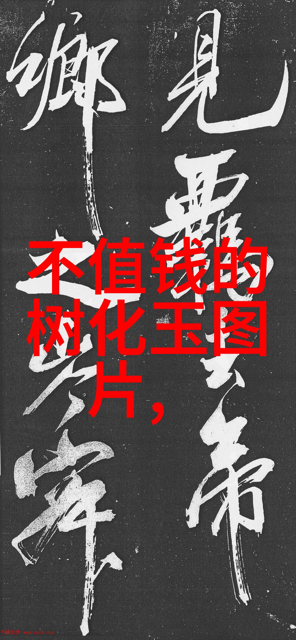 夜幕下的奇幻森林梦之守望者