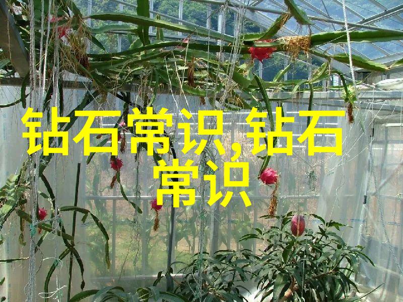 中国文化英语网站探索中国一个英语学习者在网上的文化奇遇