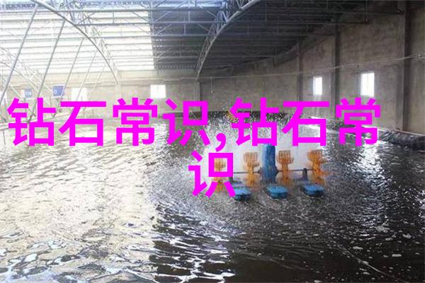 什么样的翡翠值钱我来告诉你哪种翡翠能让你的腰包更鼓