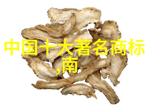 老师的小兔子好软水好多探索一段温馨的教育时刻