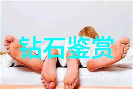 装修工艺展示区样板图-精致空间探索室内装饰的艺术与科技