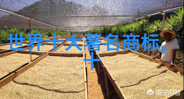 弘扬传统文化-传承不息探索中华文化的永恒魅力