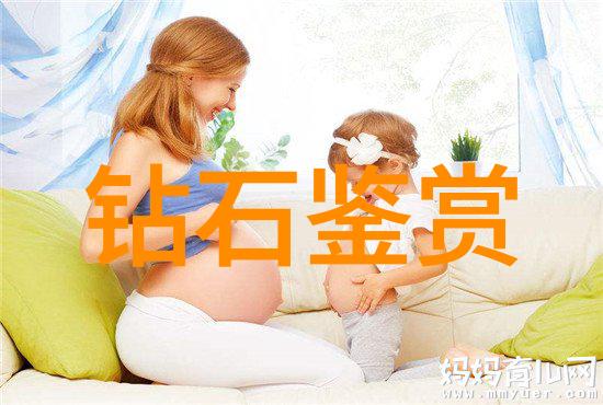 镜头之手导播的视野