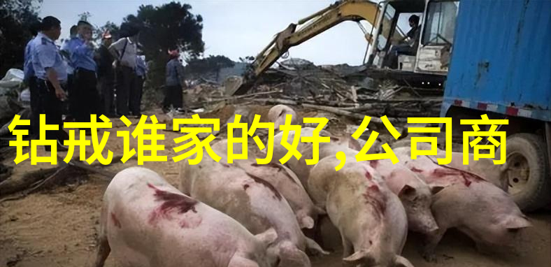 工商管理专业就业前景企业管理市场营销财务分析