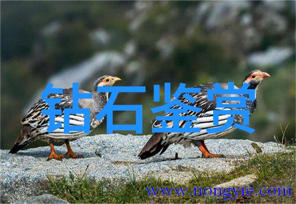 市场上常见的一些骗局是怎样的让消费者误认为是一件真正的手工艺品
