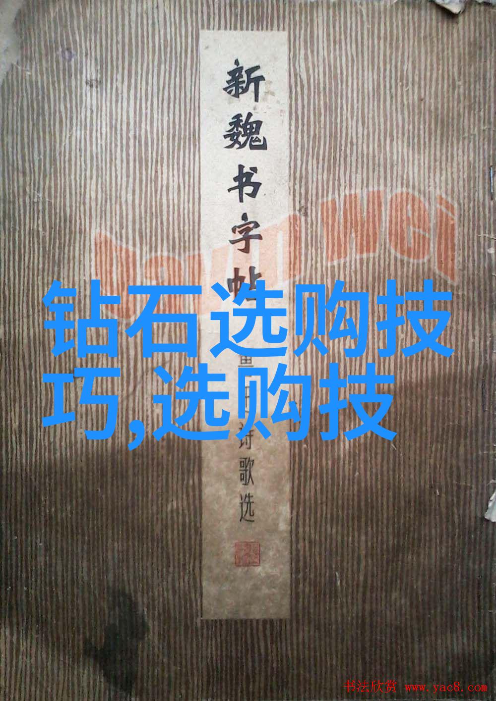 师范大学培养未来教师的摇篮与学术殿堂