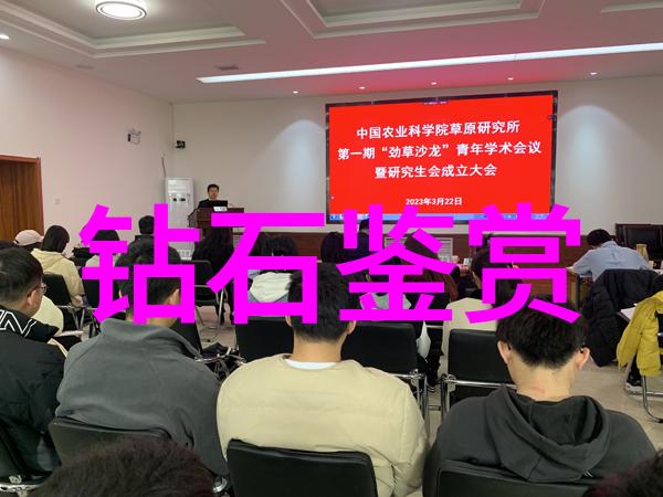 探索中华民间工艺品之美手工艺的传承与创新