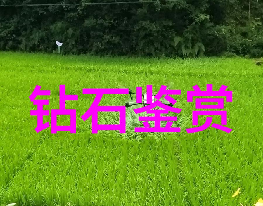 工艺美术专业学什么-工艺美术的绚丽世界从材料到作品