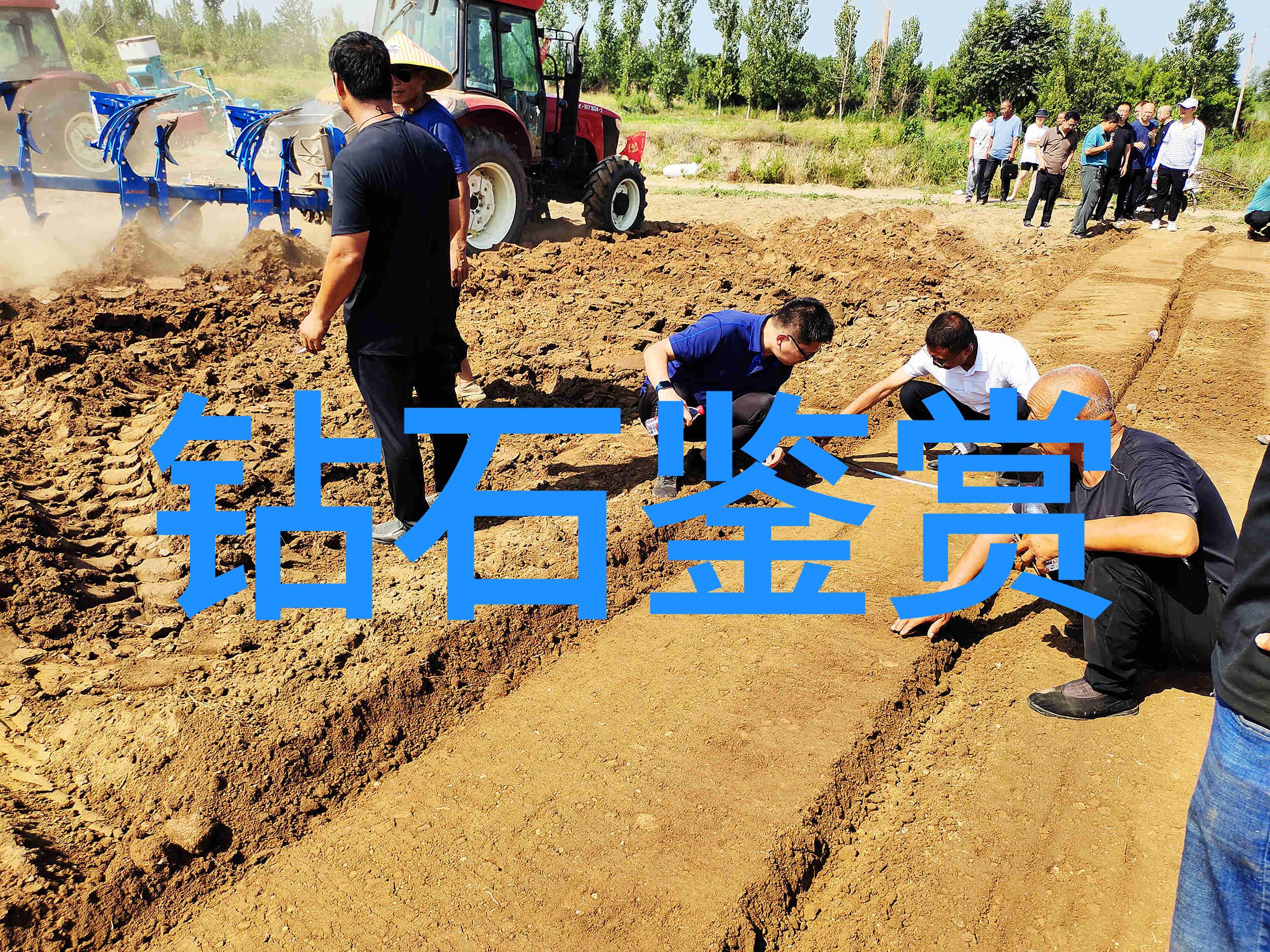 超级稀有的玉质是什么它们为什么这么珍贵