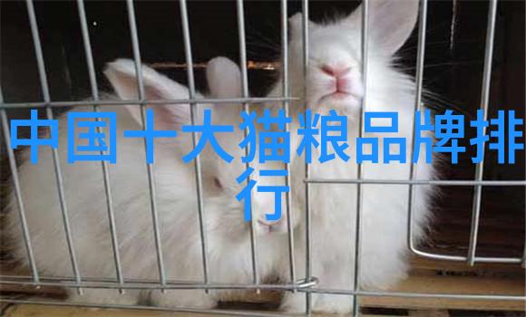 钻石选购技巧如何挑选理想的心头好