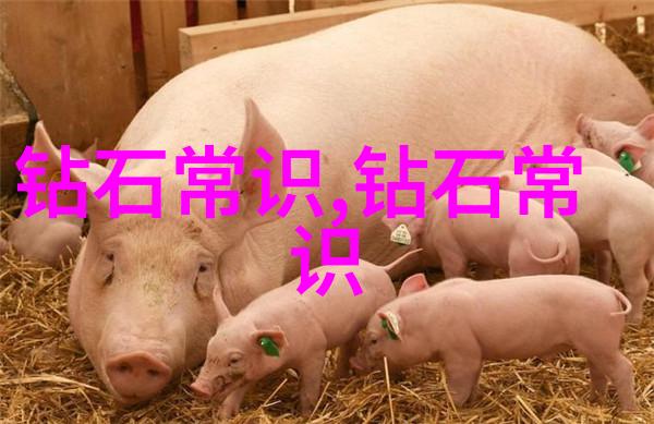 翡翠之美32种颜色等级与其价格的秘密